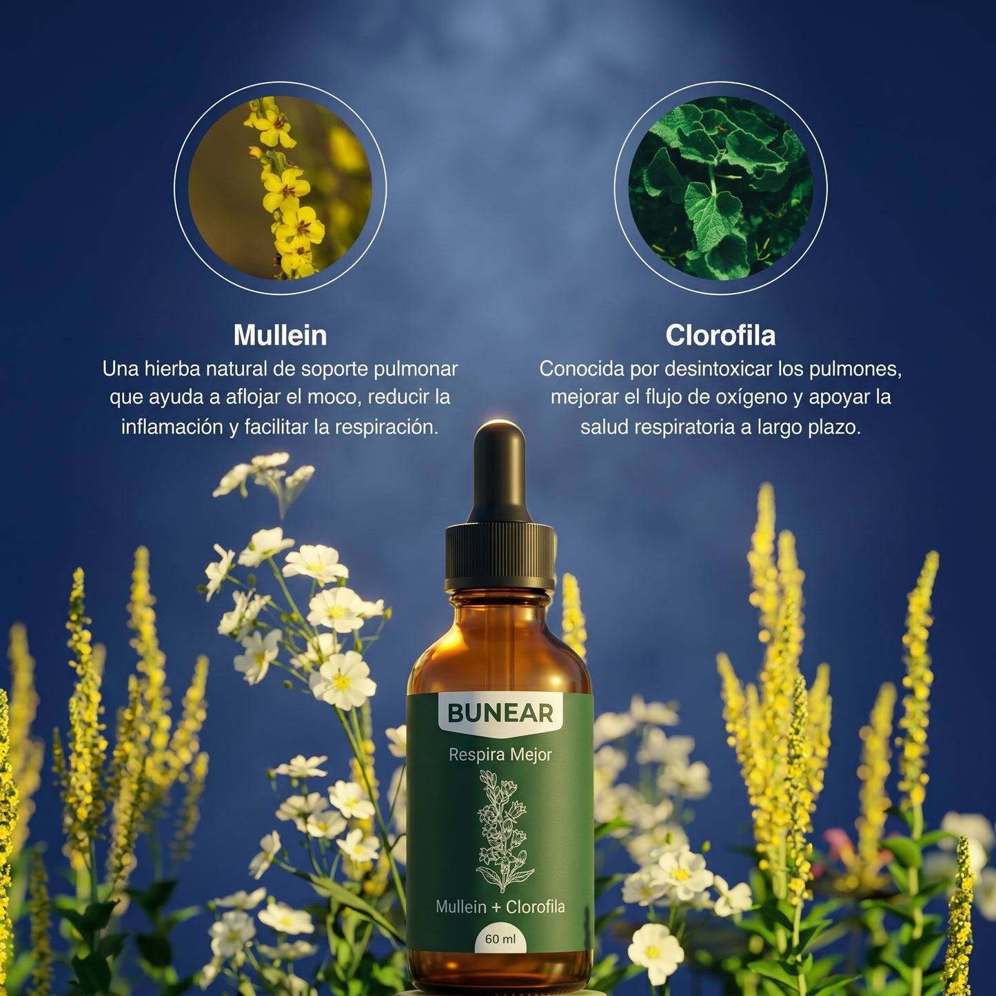 Bunear Respira Mejor — Mullein + Clorofila 60ml