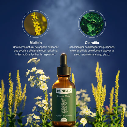 Bunear Respira Mejor — Mullein + Clorofila 60ml
