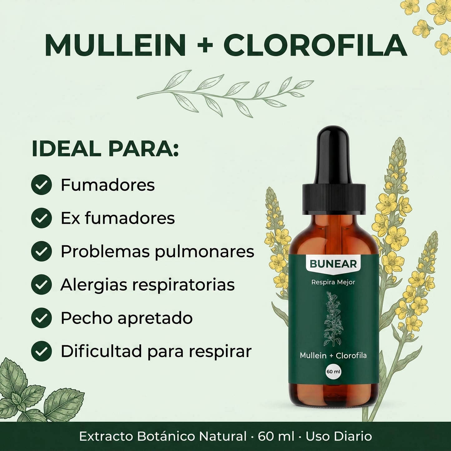 Bunear Respira Mejor — Mullein + Clorofila 60ml