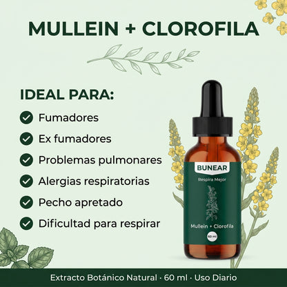 Bunear Respira Mejor — Mullein + Clorofila 60ml