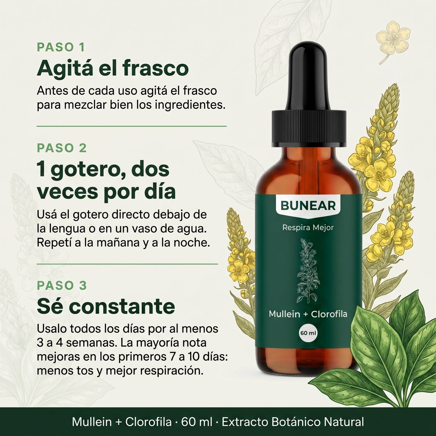 Bunear Respira Mejor — Mullein + Clorofila 60ml