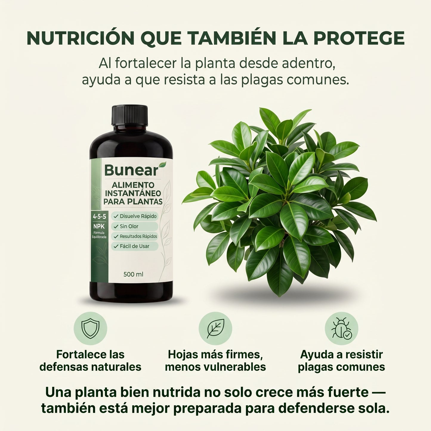 Bunear Alimento Instantáneo para Plantas