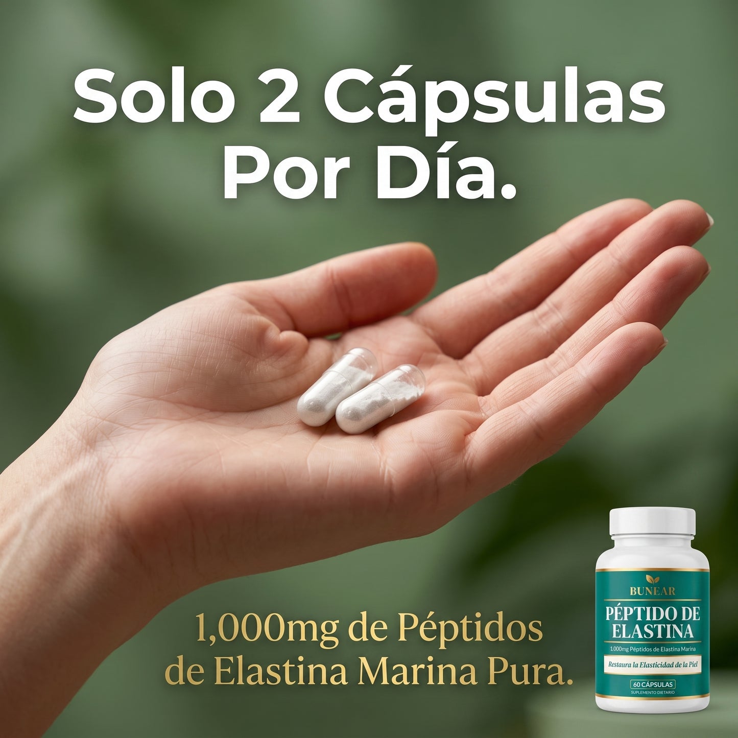 BUNEAR PÉPTIDO DE ELASTINA — FIRMEZA Y ELASTICIDAD DE LA PIEL
