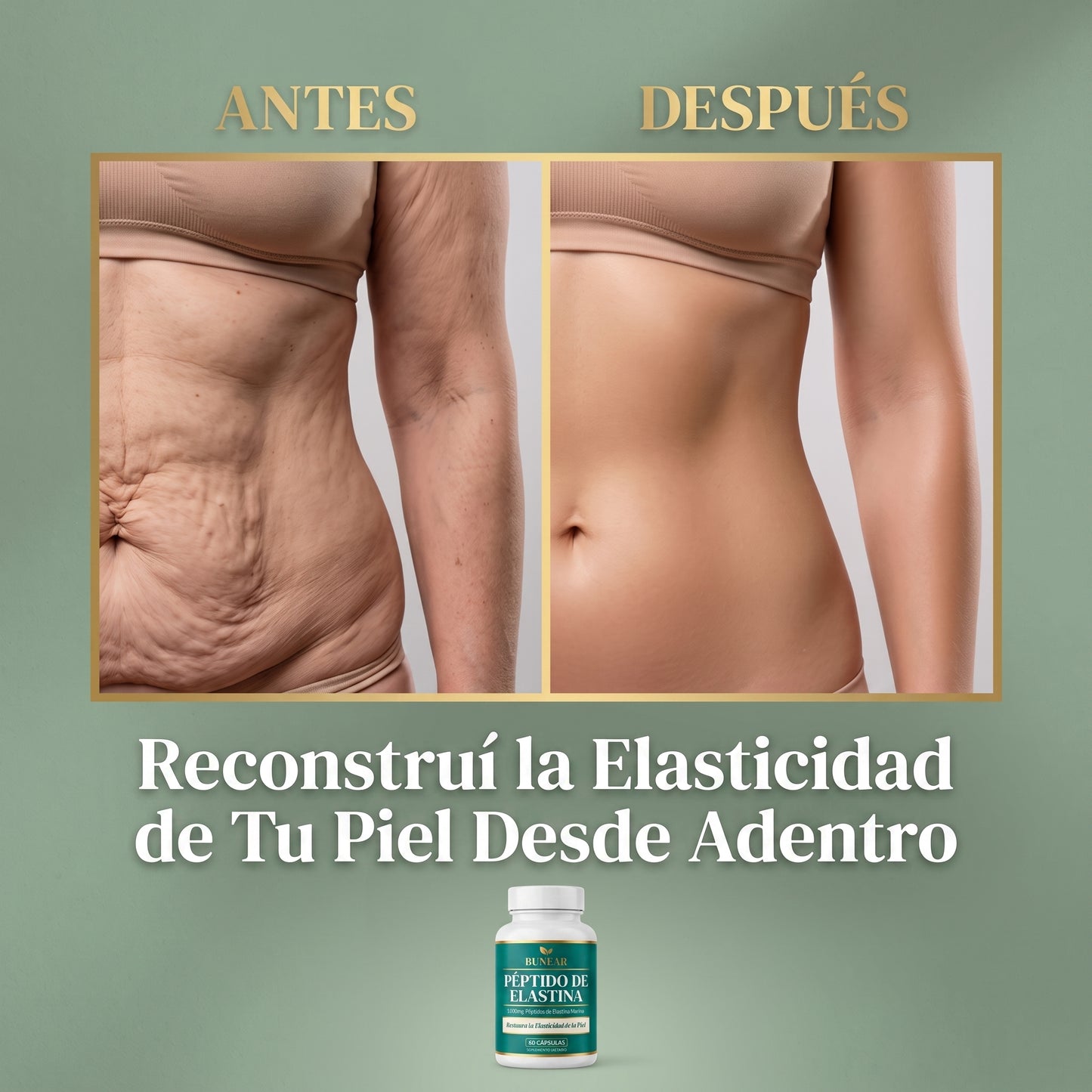 BUNEAR PÉPTIDO DE ELASTINA — FIRMEZA Y ELASTICIDAD DE LA PIEL