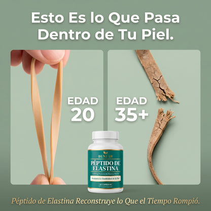 BUNEAR PÉPTIDO DE ELASTINA — FIRMEZA Y ELASTICIDAD DE LA PIEL